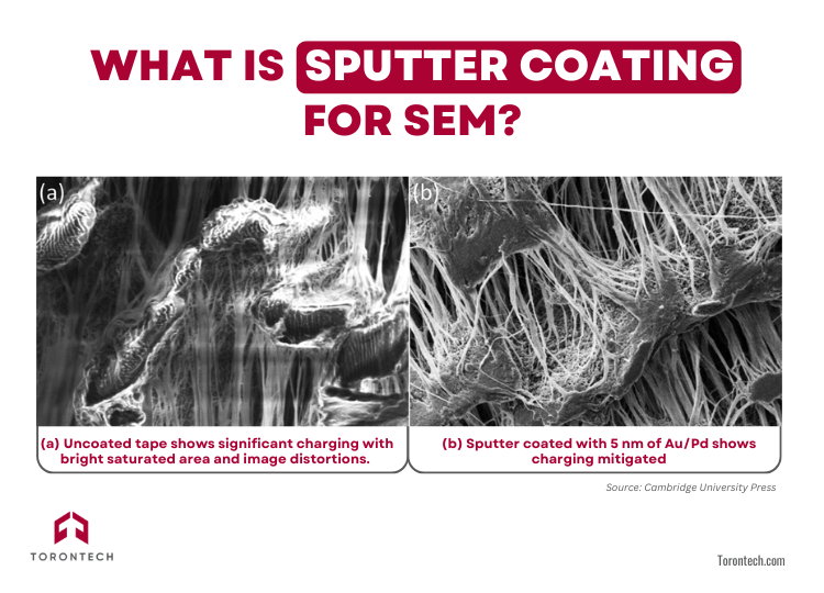 What is Sputter Coating for SEM?