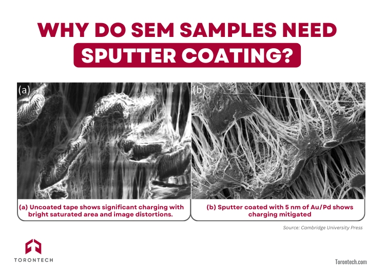 Why Do SEM Samples Need Sputter Coating?