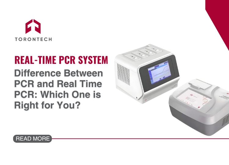 Difference Between PCR and Real Time PCR: Which One is Right for You?