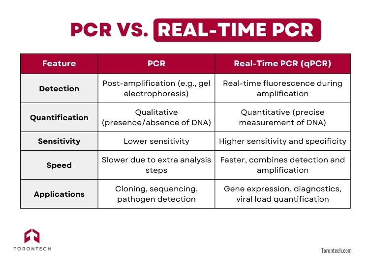 PCR vs. Real-Time PCR