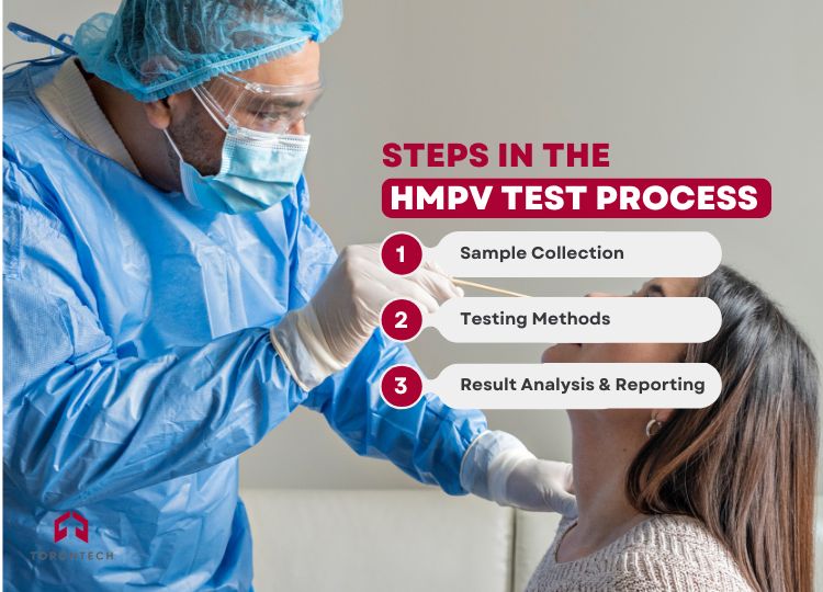 Steps in the HMPV Test Process