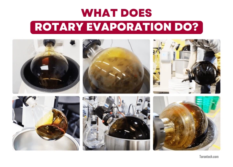 What Does Rotary Evaporation Do?