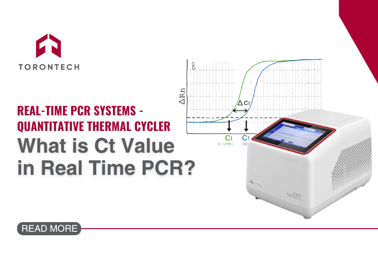 What is Ct Value in Real Time PCR?