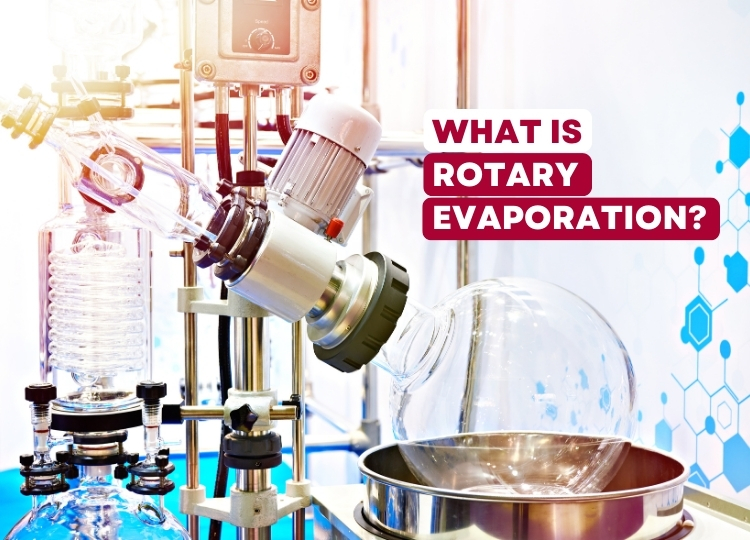 What is Rotary Evaporation?