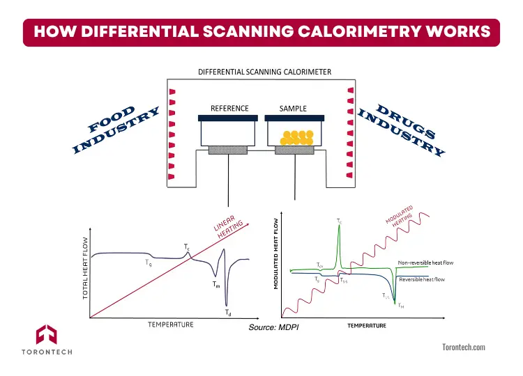 How Differential Scanning Calorimetry Works