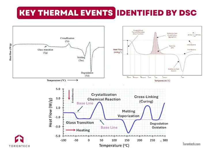 Key Thermal Events Identified by DSC