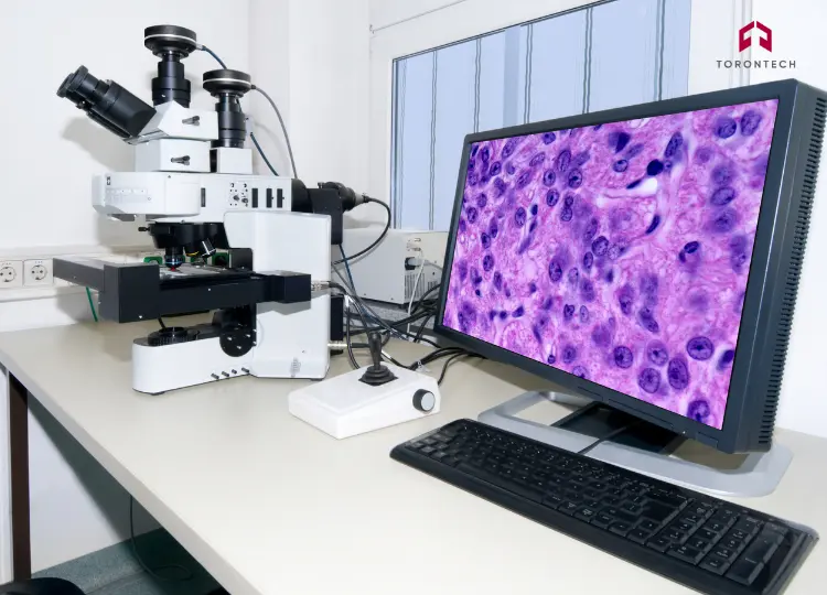 Key Imaging Techniques & Modes of Metallurgical Microscopy