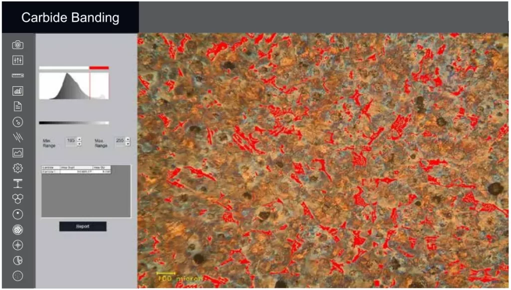 Cast Iron Image Analysis Software ToronF+™