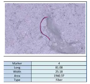 Cleanliness & Particle Analysis Software ToronCPA™