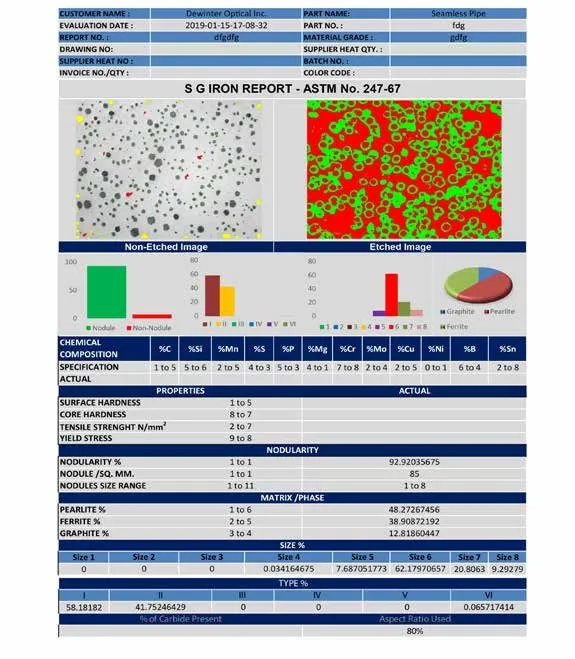 Cast Iron Image Analysis Software ToronF+™
